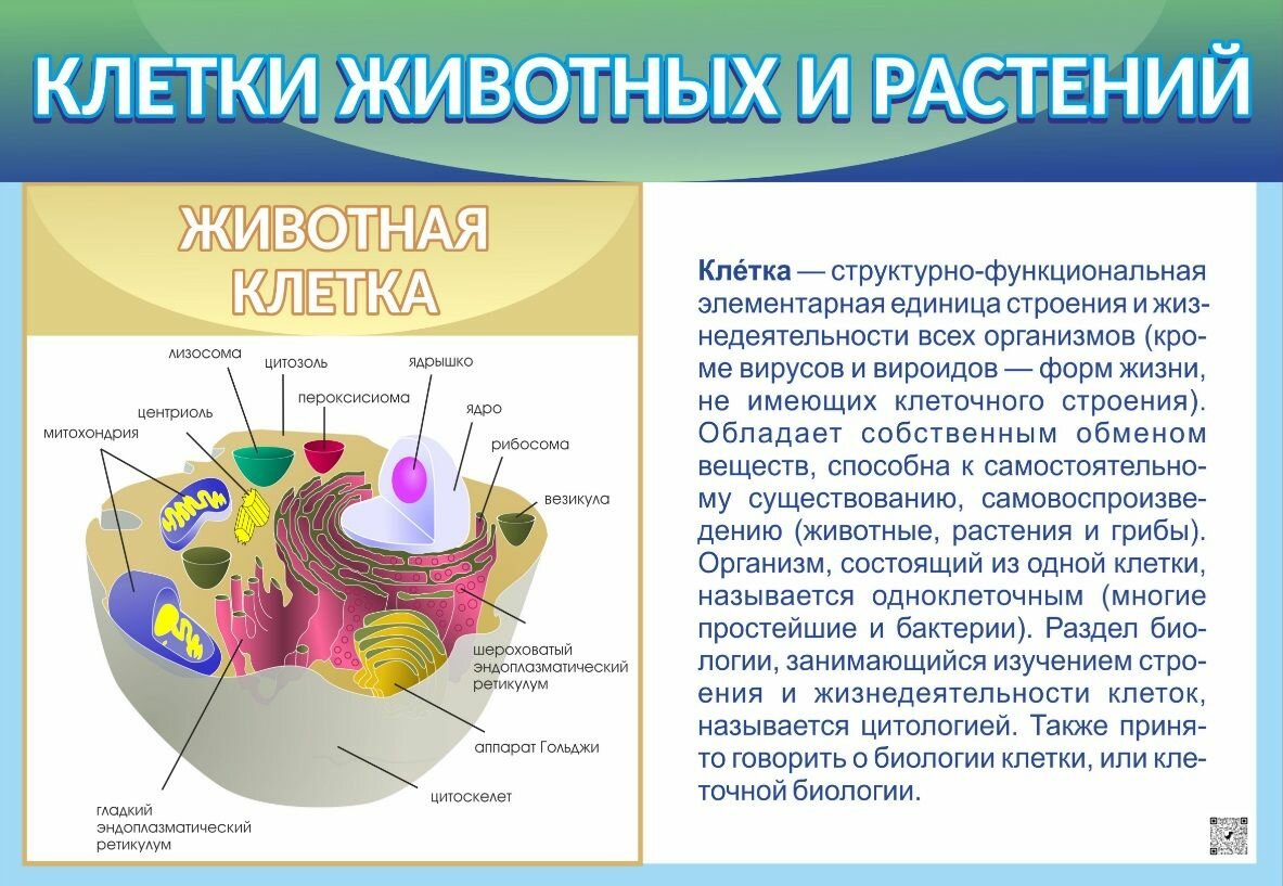 Комплект таблиц Биология. Введение в экологию