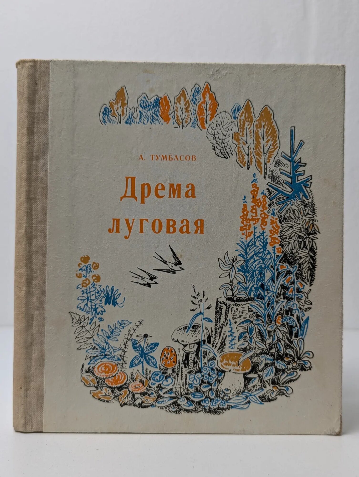 Дрема луговая Тумбасов Анатолий Николаевич 1974