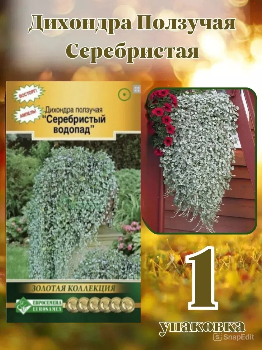 Дихондра Ползучая Серебристая 1уп 3 семечки