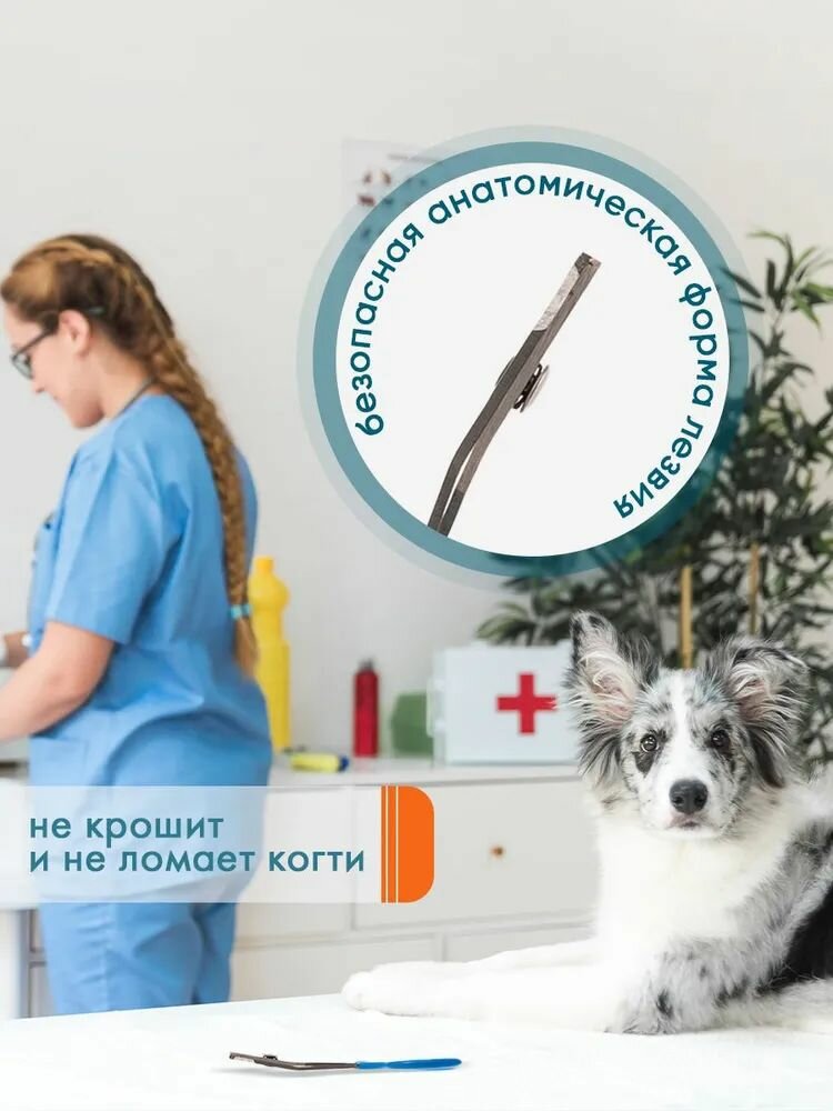 Изображение Когтерез ножницы для кошек и средних пород собак DeLIGHT большой (L) загнутый, в блистере, синий, 3901