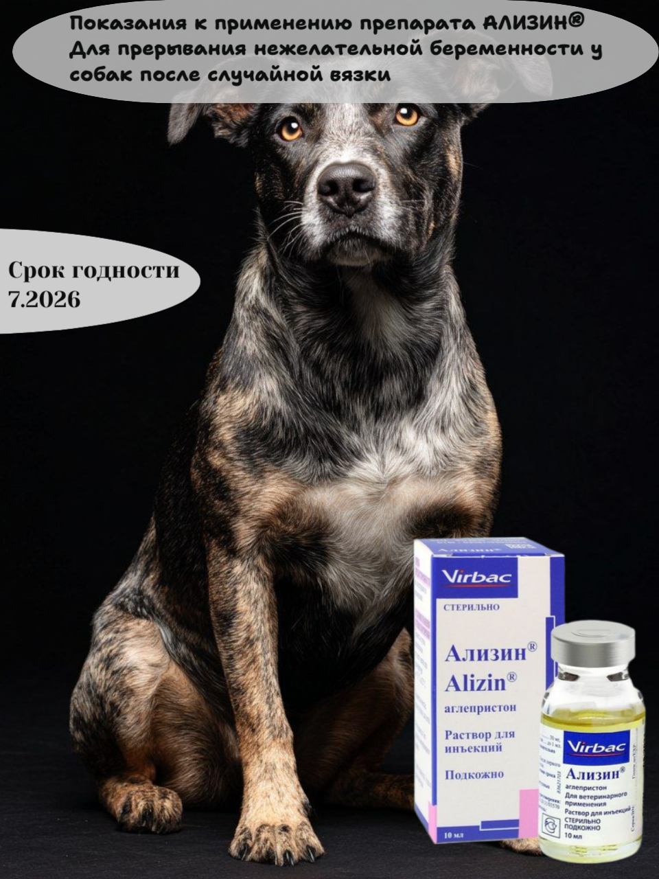 Препарат Ализин, для собак и кошек, для прерывания беременности, раствор, 10мл