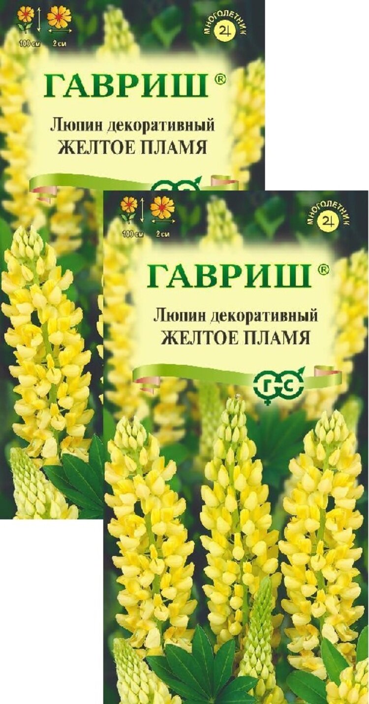 Семена Люпин Желтое пламя (05 г) 2 пакета Гавриш многолетник