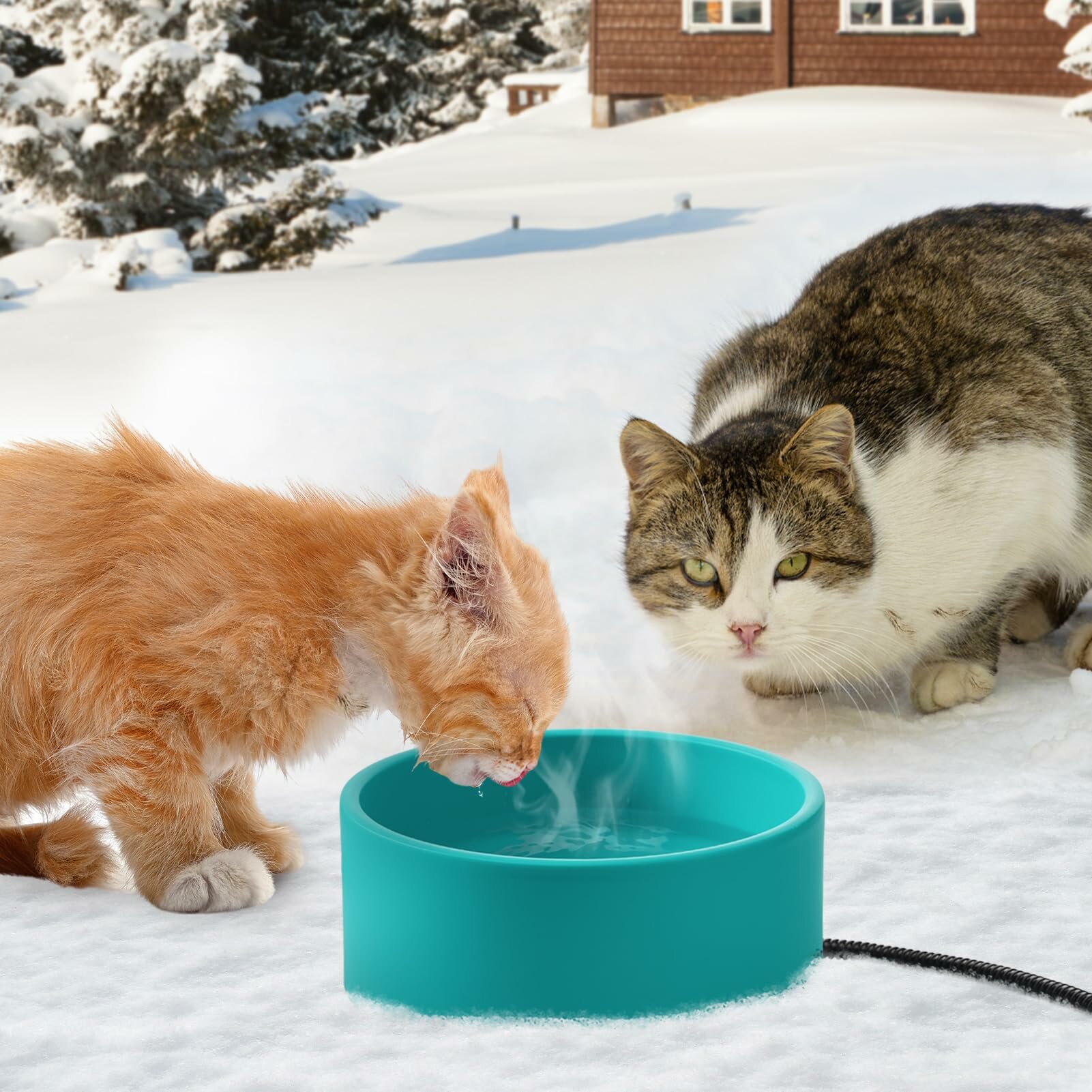 Миска с подогревом для домашних животных 3,2 л, совместима с собаками и кошками, миска с подогревом для домашних животных, вилка европейского стандарта