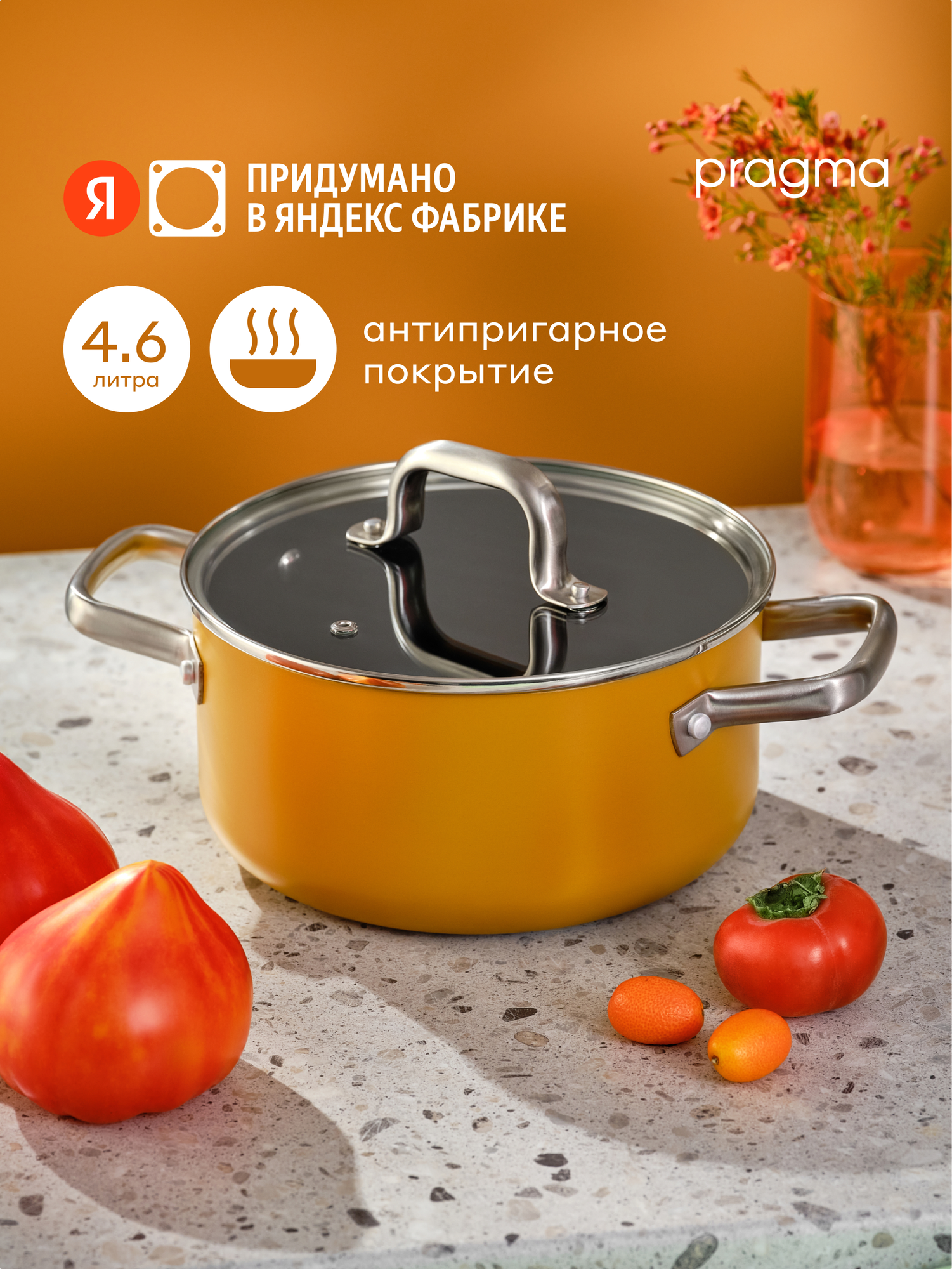 Кастрюля из алюминия Pragma Robuk 46 л с антипригарным покрытием крышка в комплекте индукция