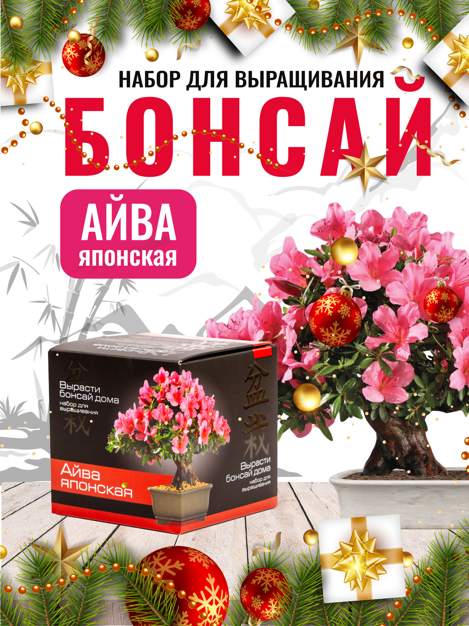 Набор для выращивания  Вырасти бонсай дома  Айва японская 