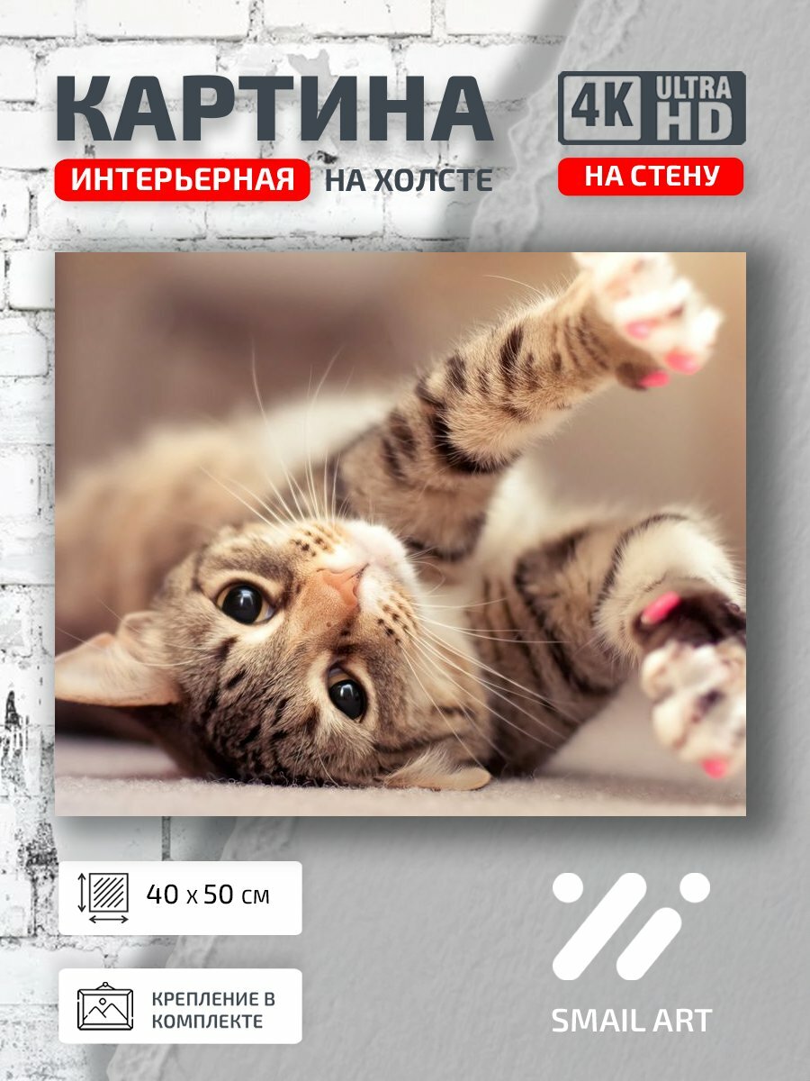 Картина на холсте интерьерная 40 на 50 на стену Когтями Animal для кабинета animal style