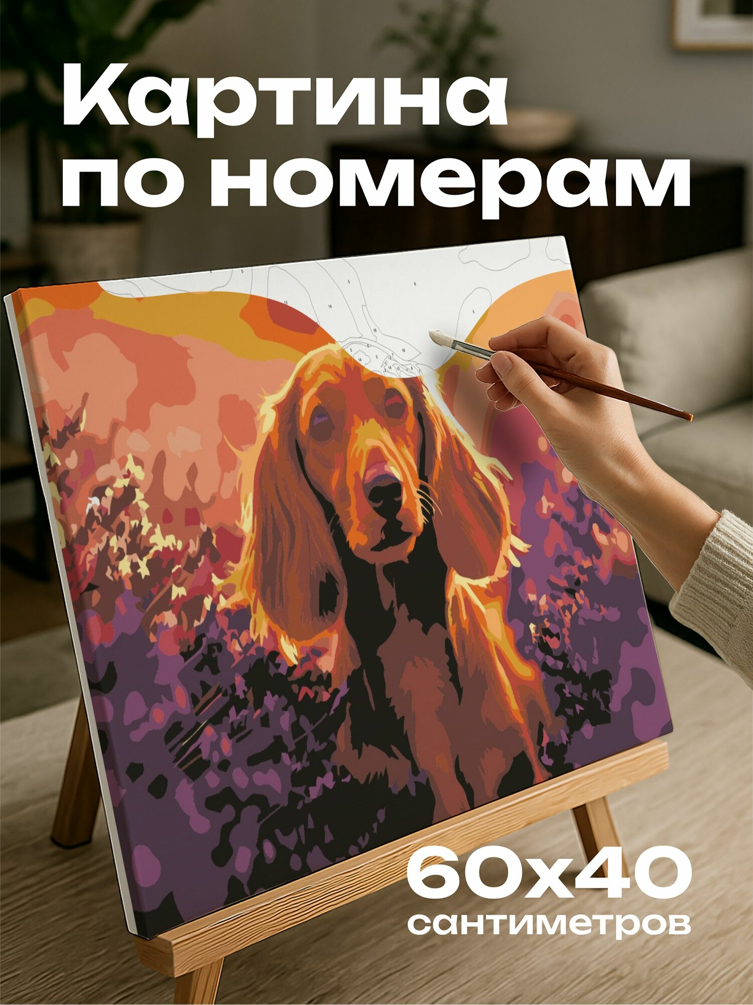 Картина по номерам 60x40 см, Такса, лаванда, фотография, солнечный свет, шерсть, романтический момент, благоухающая