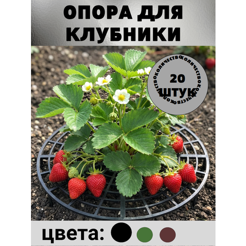 фото Опора для клубники 20 шт черная ковропласт