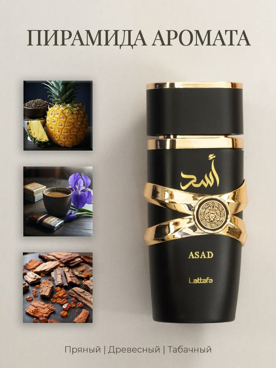 Арабские духи Lattafa "Asad", восточно-пряные, мужской, 100мл — фото 1