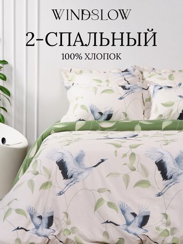 Изображение товара Постельное белье 2 спальное, наволочки 50х70, WINDSLOW Рина, пододеяльник на молнии, ткань перкаль, 100% хлопок