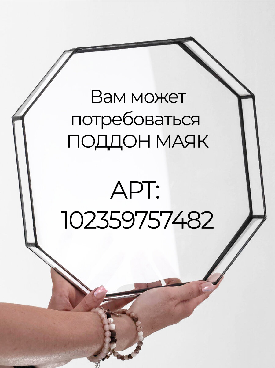 Флорариум с живым деревом, Мирсина африканская, высота композиции 50 см "Маяк" — фото 1