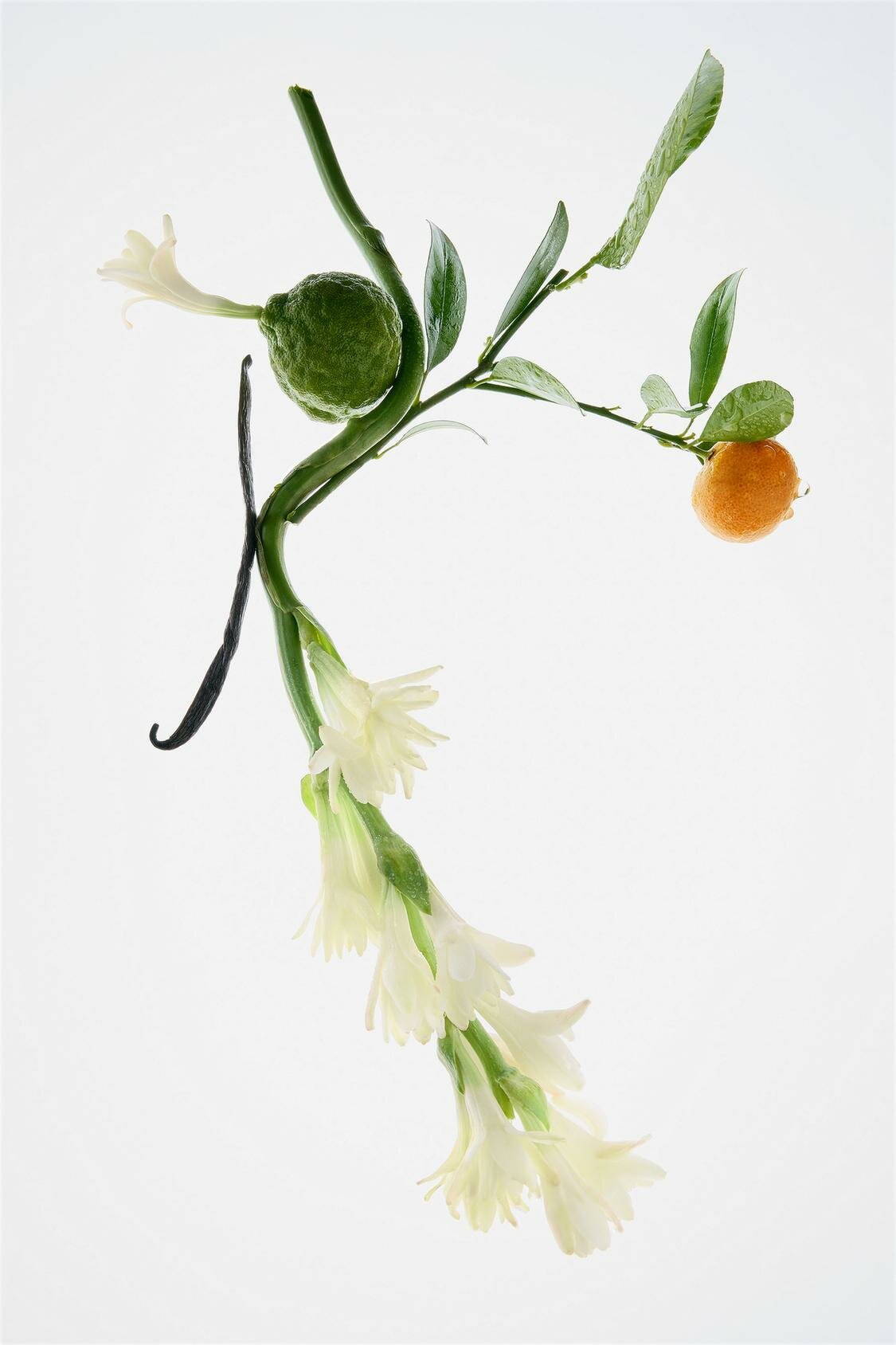 Парфюмерная вода Giorgio Armani My Way ZARA Sublime Epoque, для женщин 30 мл — фото 1