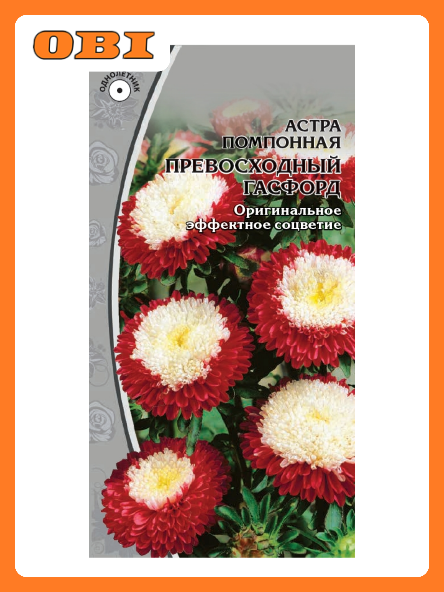 Семена Астра Превосходный Гасфорд 02г