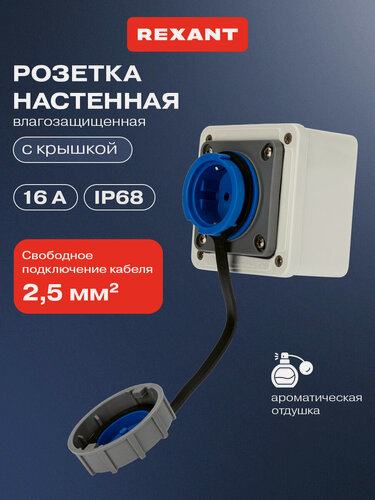 Изображение товара Розетка электрическая REXANT настенная влагозащищенная с крышкой 16 А, 2Р+РЕ, IP68