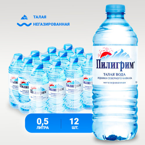 Пилигрим негаз 0,5л./12шт. Пэт