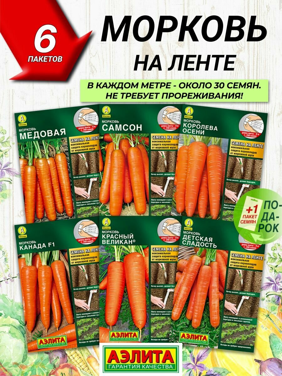 Семена овощей Аэлита Морковь на ленте 6 сортов / Семена Моркови