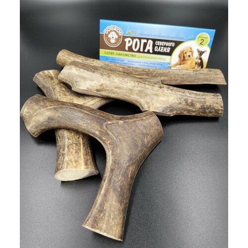 Рог северного оленя для собак, Размер 2 (для средних пород собак), DOGROG