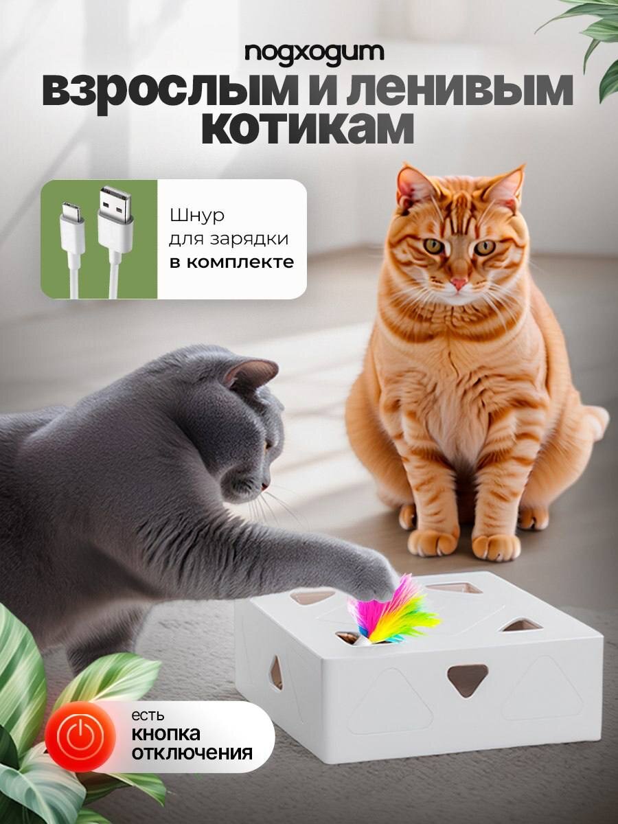 Интерактивная игрушка для кошек Волшебная шкатулка — фото 1