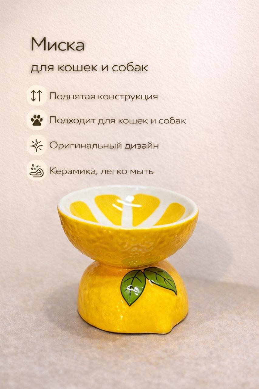 Керамическая миска для кошек и собак