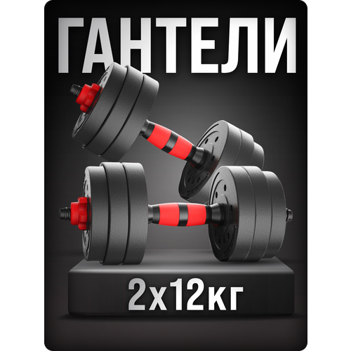 Гантели разборные ТИТАН для фитнеса + штанга спортивная 2 шт. по 12 кг