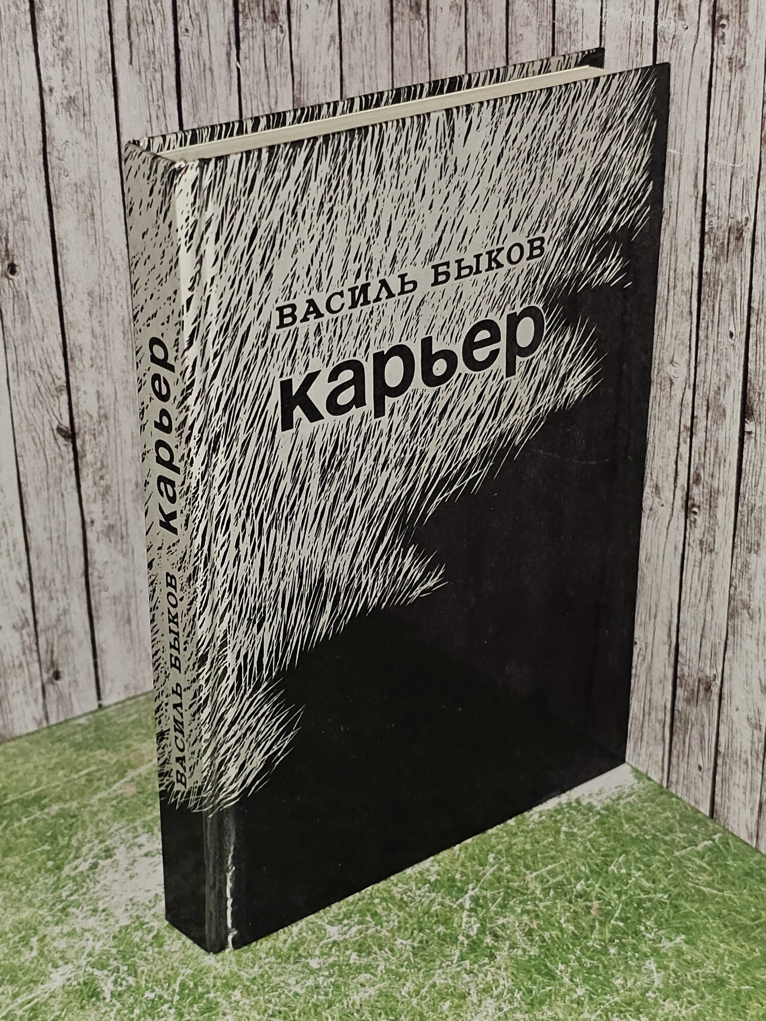 Карьер. Быков Василий Владимирович