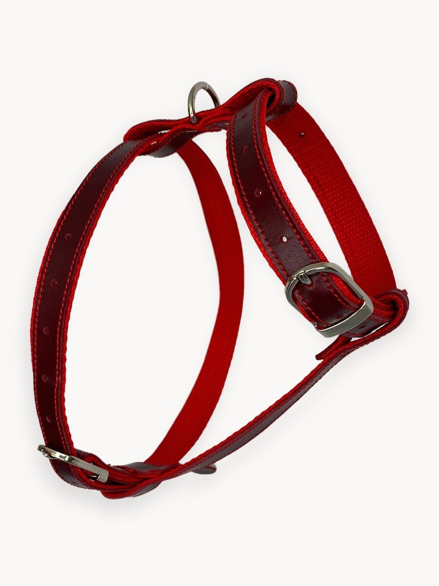 Шлейка для собак мелких и средних пород, вишнёвая
