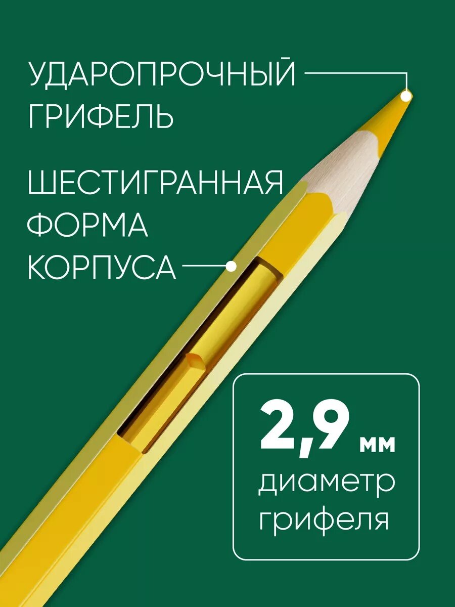 Цветные карандаши "Лесной пейзаж" Гамма, 12 штук, шестигранные, заточенные, разноцветные — фото 1