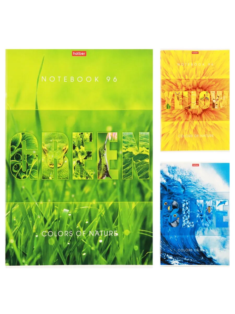 Тетрадь в клетку А4 96л