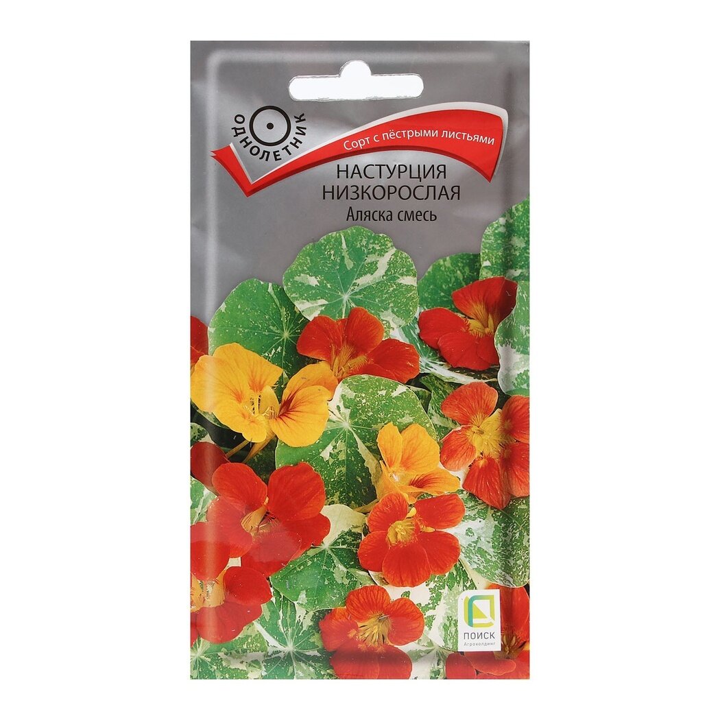 Семена цветов Настурция низкорослая 