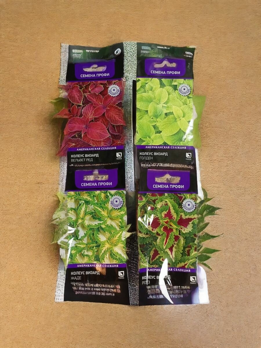 Набор семян Колеус Визард   4 вида   Жаде   Вельвет Ред   Голден   Роуз по 1 пакету 