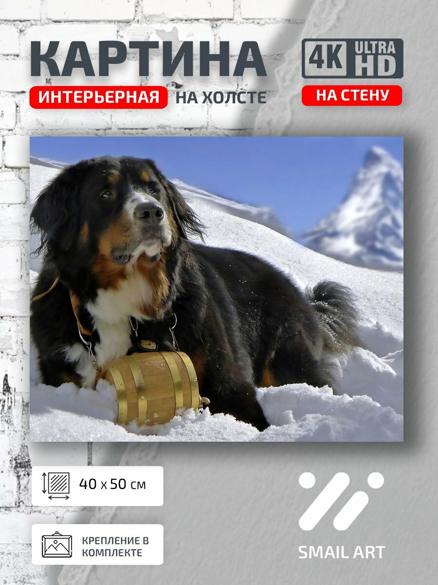 Картина на холсте интерьерная 40 на 50 на стену Снег Mood для студии атмосфера интерьер