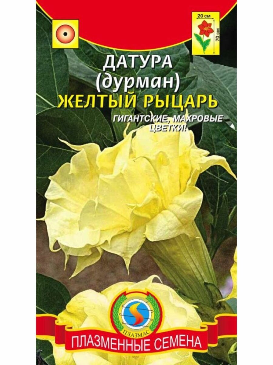 Датура (Дурман) Желтый рыцарь 3 шт, Плазменные семена