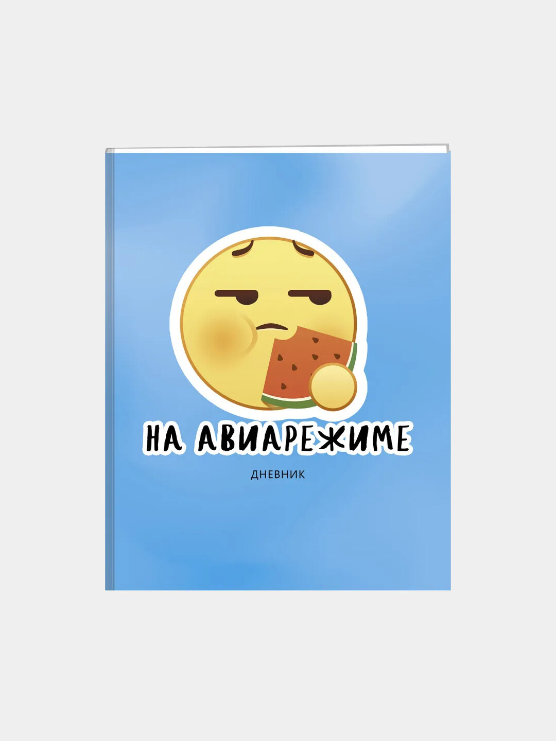 Дневник школьный, для старших классов, "На авиарежиме"