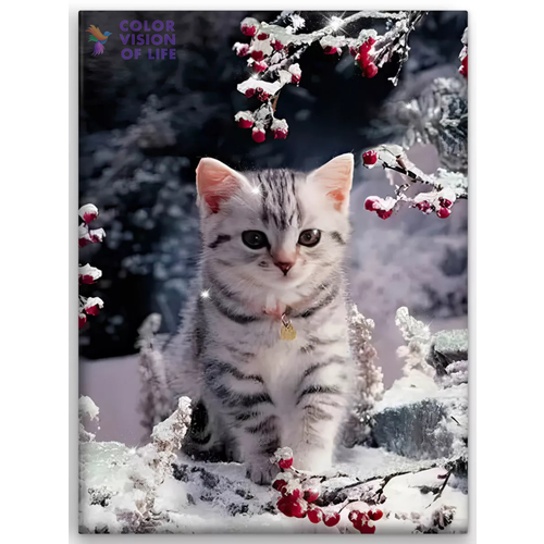 фото Алмазная мозаика color vision of life "серый котик", 40x50 см