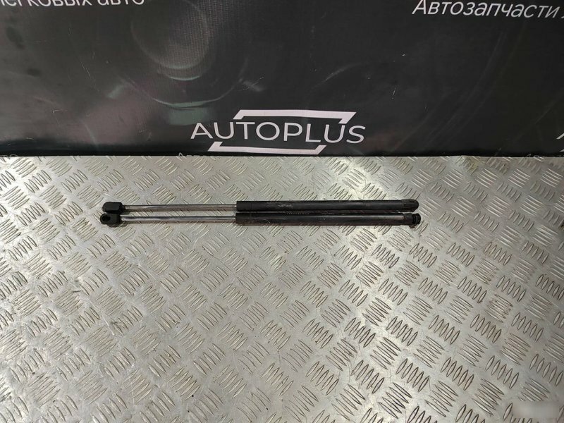 Упоры крышки багажника Chery Amulet 2003-2012 (1.6) Б/У с пробегом Арт. A115605010BA