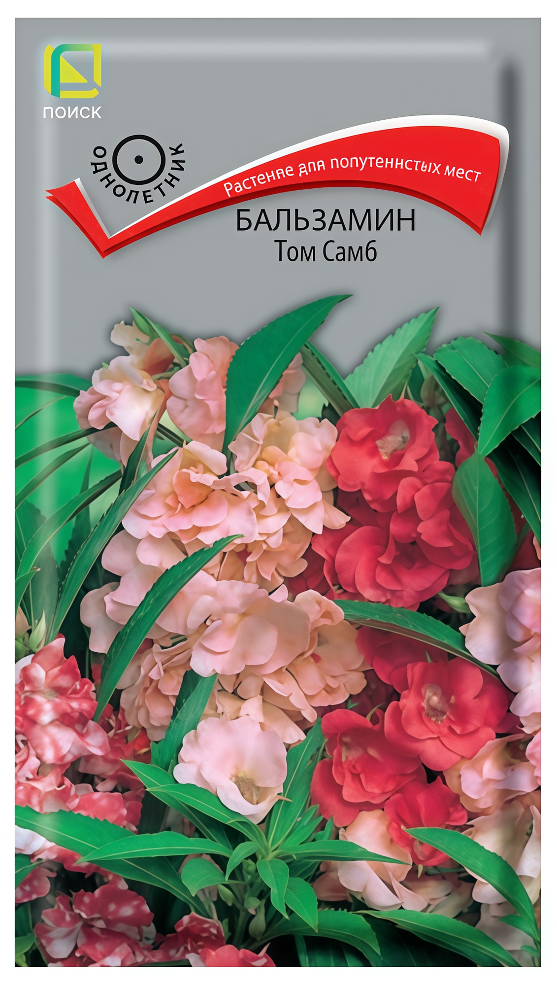 Семена Поиска "Бальзамин", сорт "Том Самб", однолетник, 0,1г