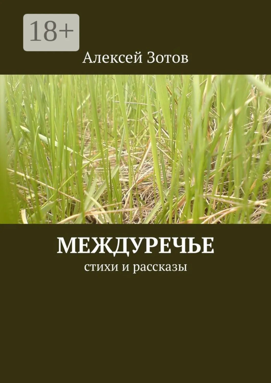 Междуречье. Стихи и рассказы [Цифровая книга]