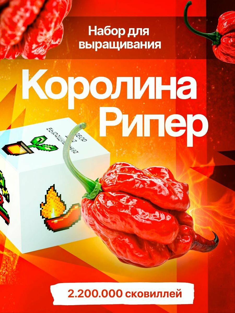Набор для выращивания растений перец острый Каролина рипер