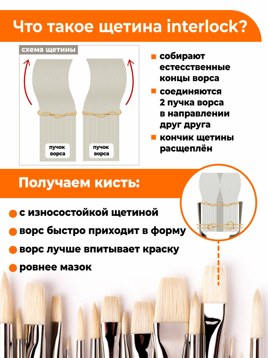 Кисть флейц Малевичъ Henry №50, кисть для рисования, щетина жесткая — фото 1