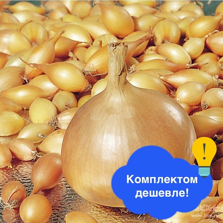Лук-севок Стурон 22/30 0.5 кг