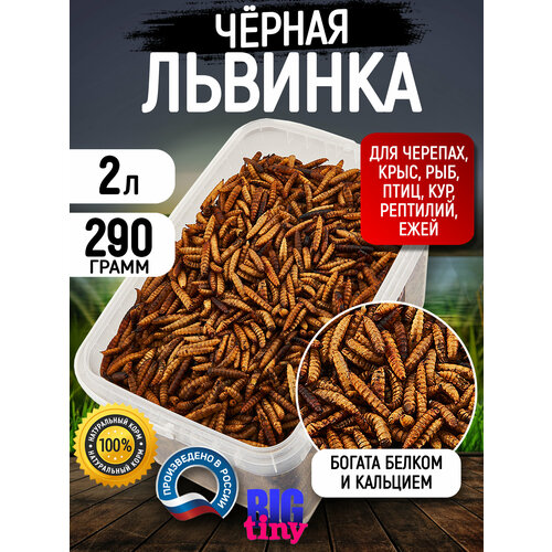 фото Сухой корм big tiny, для муравьев, ракообразных, рептилий, рыб, крыс, хомяков, птиц, черепах. черная львинка, 290г