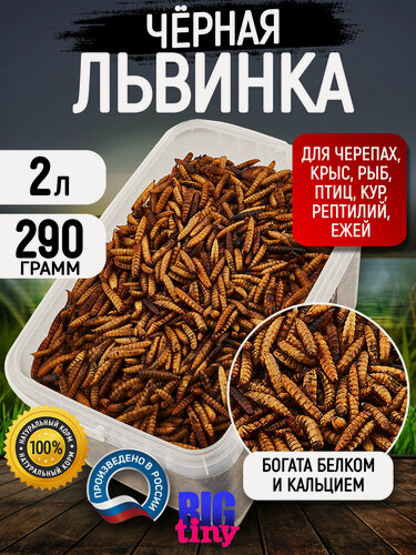 Изображение товара Корм Big Tiny "Черная Львинка", для рептилий, черепах, птиц, грызунов