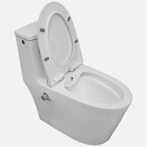 Изображение товара Унитаз Bloomix Lowe MT3101RSB/UF1 Ceramic+ моноблок безободковый с функцией биде и смесителем