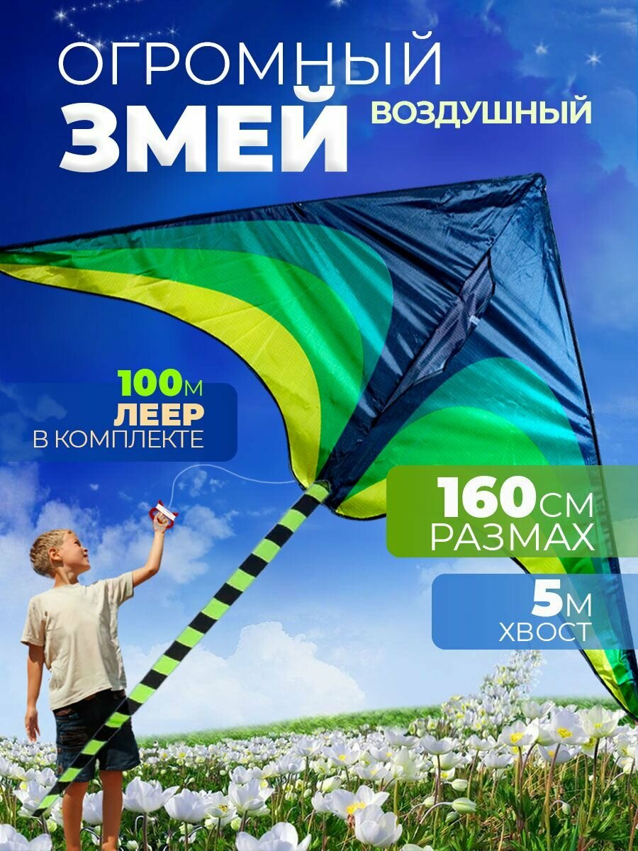 Воздушный змей большой 1,6 метра