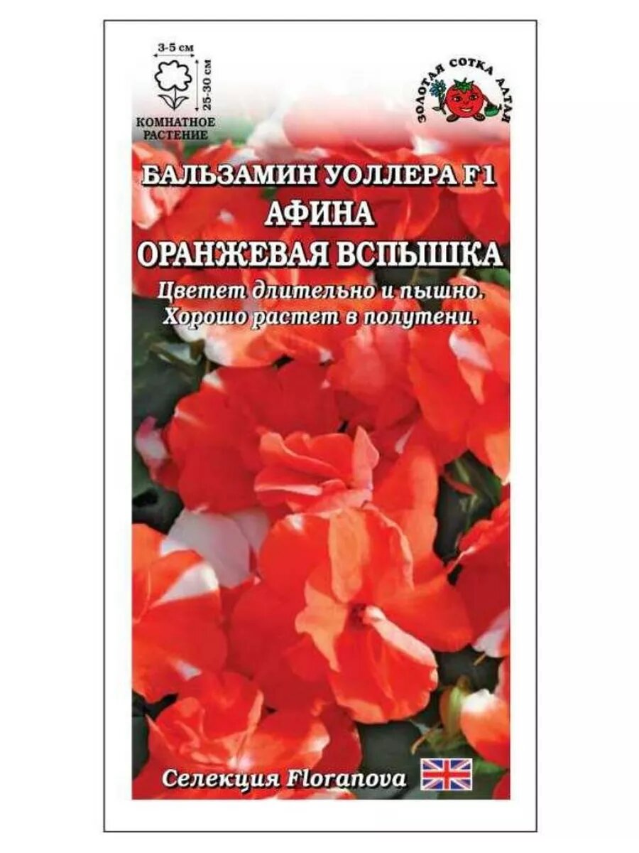 Бальзамин Афина Оранжевая вспышка 5 шт.