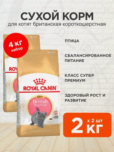 Изображение товара Корм сухой Royal Canin British Shorthair Kitten 34 для британских короткошерстных котят, 2 кг х 2 шт