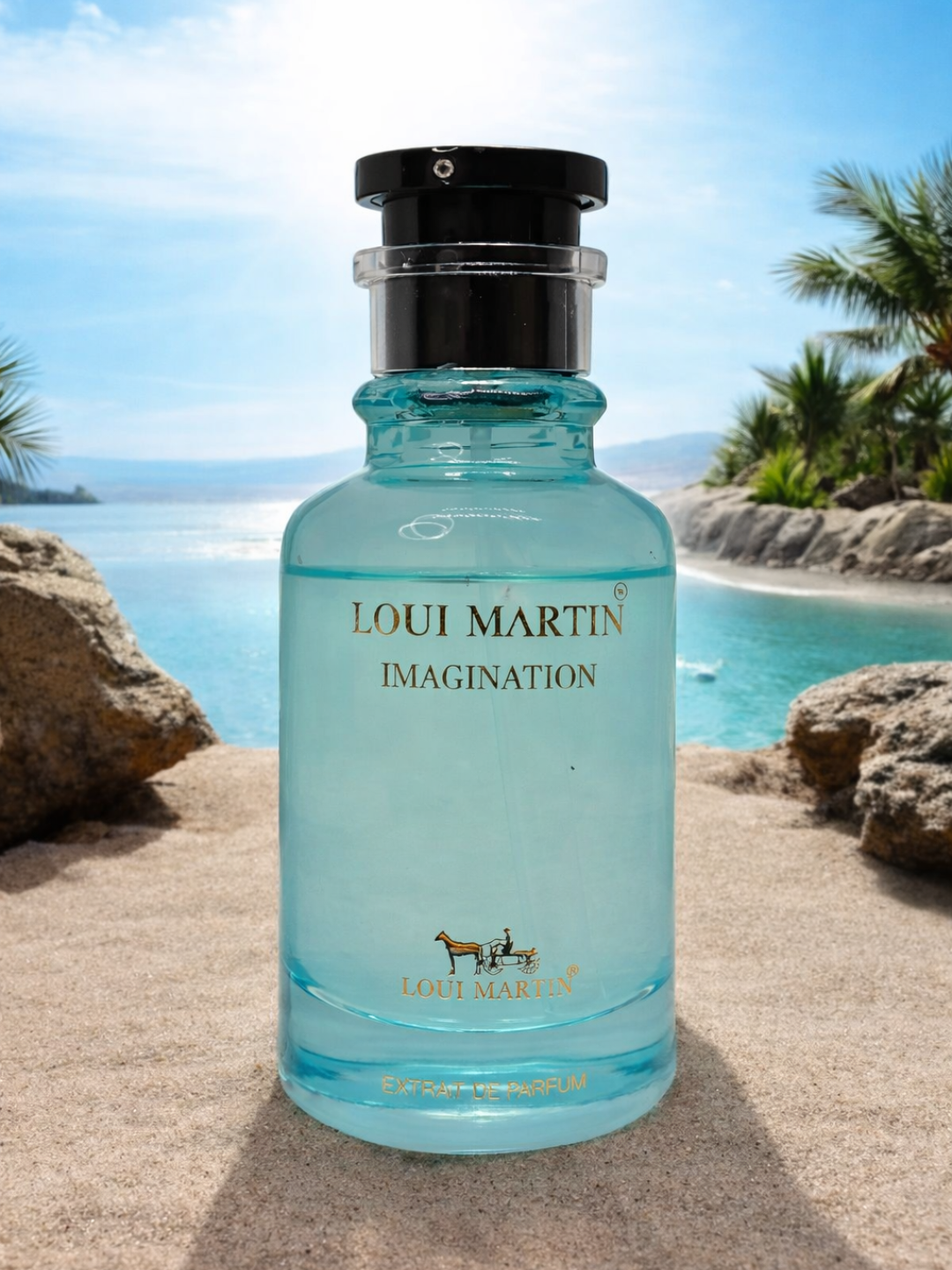 Парфюмированная вода Imagination Loui Martin, мужская, французская, 100мл