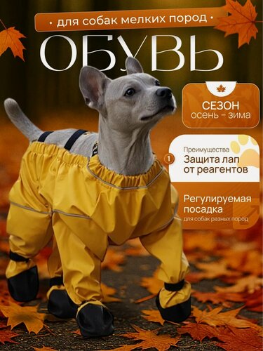 Изображение товара Ботинки Conceptum, для собак, непромокаемые, противоскользящие, жёлтые, чёрные, полукомбез.