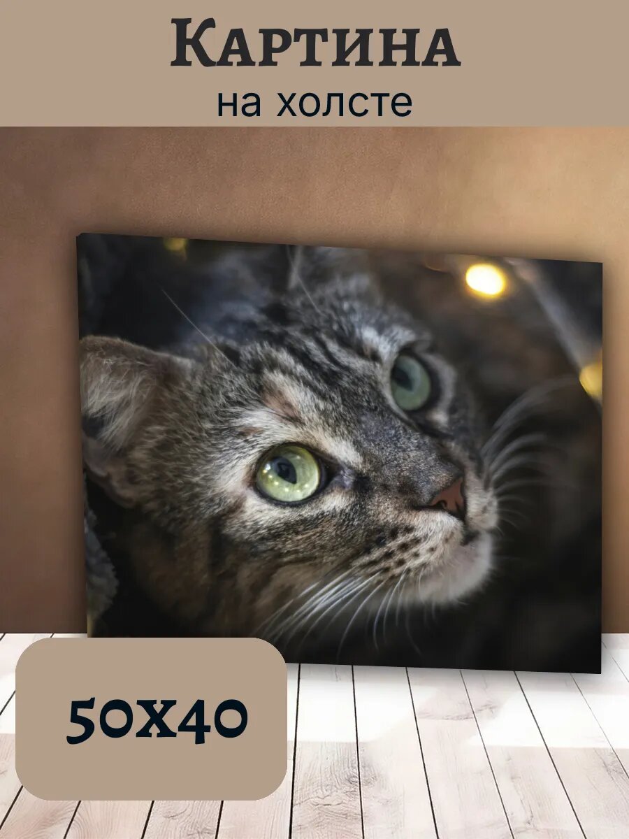 Картина Кот Кошка Cat 40x50 интерьерная с зелеными глазами