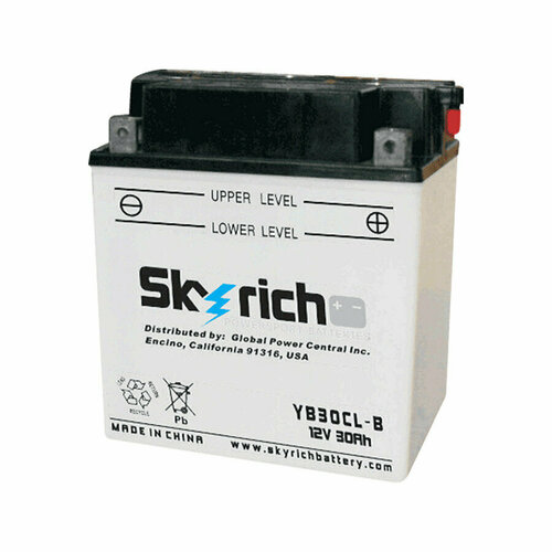 YB30CL-B SKYRICH Аккумулятор мото